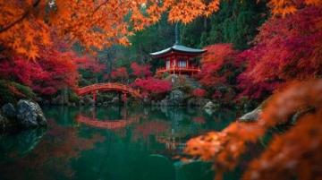 日本京都楓葉之旅第三天(上)