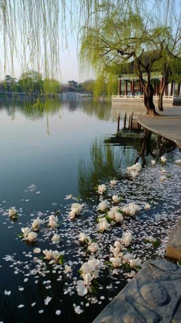 惠州之游即興詩:四月西湖如畫,古塔見證歲月#惠州旅游# #詩歌欣賞#