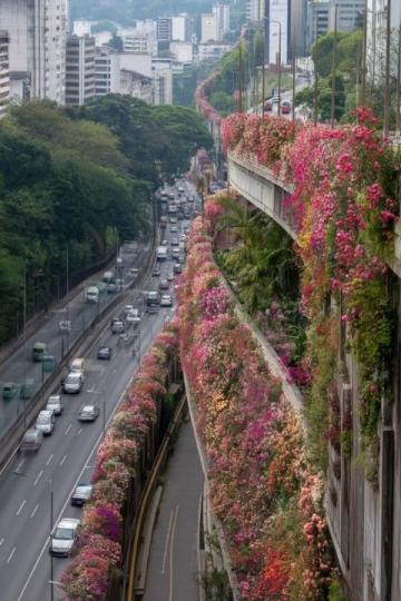 福州最美懸空步道，市民必訪景點攻略