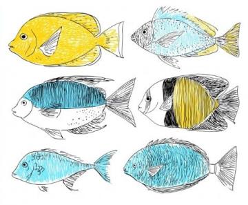 一直以來,家里老人最喜歡的海魚當屬黃翅魚,有野生,有養殖,價格不一樣