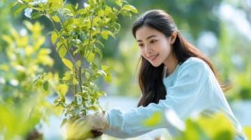 廈門春游攻略：賞花、文化探索與潮流體驗，一網打盡！