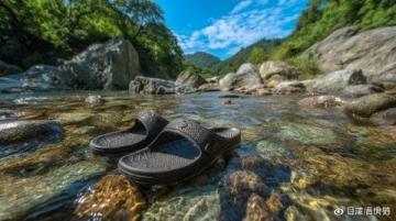 麗水：水質優良的溪魚天堂，華東野生魚類基因庫