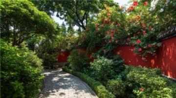 濰坊高密南湖植物園——城市綠洲的詩意棲居**