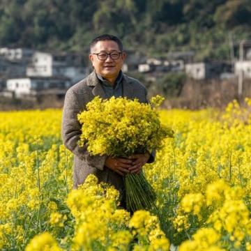 漢中市油菜花一日游攻略：梯田湖光山色美景全體驗