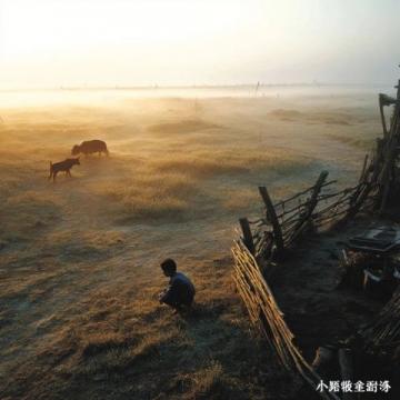 2019年南寧全城的扁桃欠收,于是整座城市缺少了一年一度的雨果節