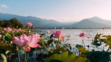 五一游洋沙湖感覺(jué)挺好的，人少景也美