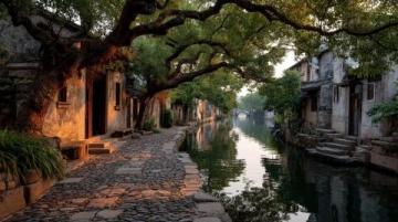 夏日打卡季：探秘華北明珠白洋淀，體驗北方水鄉生態人文之旅