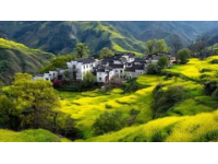 我在頭條曬家鄉(xiāng) 這個話題真好,我的家鄉(xiāng)是山東泗水的小山村。有古老歷史文化、五谷雜糧和長壽的老人……".