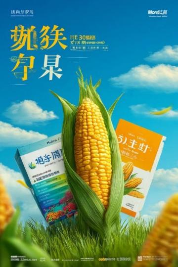 新會區有什么特色小吃？新會區美食探店