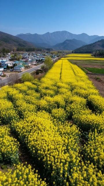 2025五一懷柔游玩指南:暢享交通、食宿與特色之旅