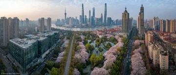 春節反向旅行:上海自駕游潮汕指南