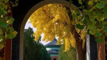 長春這有山財神殿打卡推薦帖子