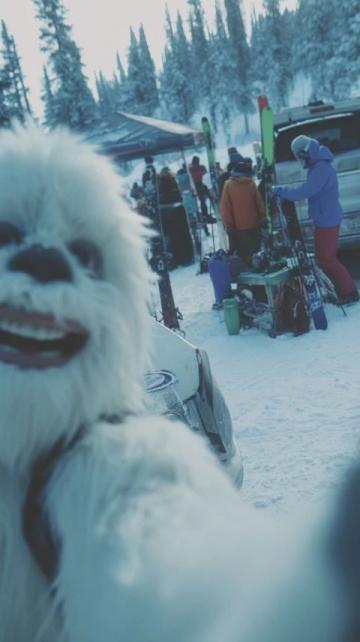 金佛山耍雪攻略：兩天一夜玩樂指南來襲！