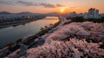 2025年必去的五大春季旅行勝地,跟隨榜單開啟新體驗