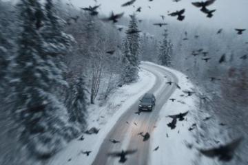 冬季雪天行車安全指南:全面準(zhǔn)備與駕駛技巧須知