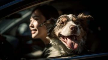 提車不過幾日，嵐圖就邀請我參加燒烤，這波寵粉必須給個贊
