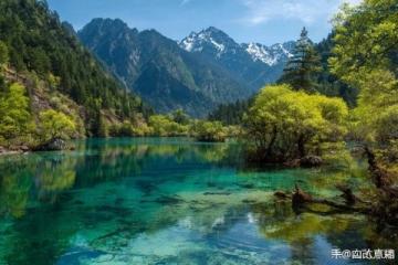 夏日云南之旅:花茶與美景的完美邂逅旅行指南
