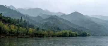 麗水：水質優良的溪魚天堂，華東野生魚類基因庫