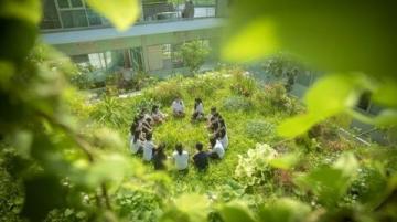 巴州區興文小學校園農場種蔬菜,校門口擺攤搞義賣