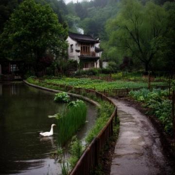 浙西南山區的詩意棲居地——松陽