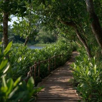 早就聽聞東莞麻涌的華陽湖濕地公園美不勝收,終于在這個周末,我開著我的16款軒逸