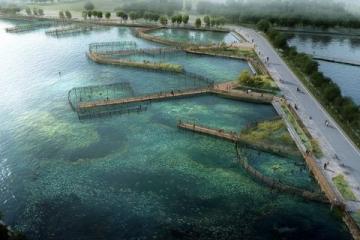 揭秘武漢熱門免費釣點：南湖、青菱河、麻湖路等垂釣天堂