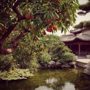 艾灸治療后的溫暖一日:紅包驚喜與合柴1972文創(chuàng)園之旅