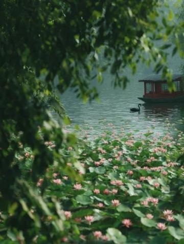 濰坊高密南湖植物園——城市綠洲的詩意棲居**