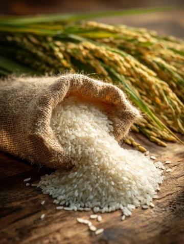 中國6大名優大米盤點:你的家鄉米在榜上嗎?