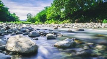 麗水：水質優良的溪魚天堂，華東野生魚類基因庫