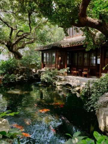 8大亮點(diǎn)!江南水鄉(xiāng)紹興,500塊就能玩得超開(kāi)心,周末就出發(fā)