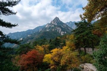 游記|秋意濃,本溪龍道溝的楓葉正當(dāng)紅!