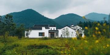漢中市油菜花一日游攻略：梯田湖光山色美景全體驗