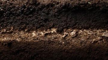 專利突破：四家中企共創環保技術新紀元，泥餅變流態固化土提升反應速率與材料均勻度