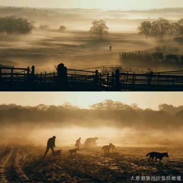 2019年南寧全城的扁桃欠收,于是整座城市缺少了一年一度的雨果節