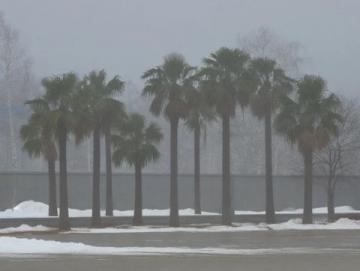 雪終于來了！河南鄭州出現大暴雪，河南局地積雪深度超20厘米,前些日子天氣預報說
