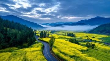 安徽岳西牛草山云端天路:絕美風(fēng)車天路,云霧仙境等你打卡