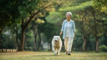 寵物養護專家徐藝桓:狗狗腎臟保健美食推薦
