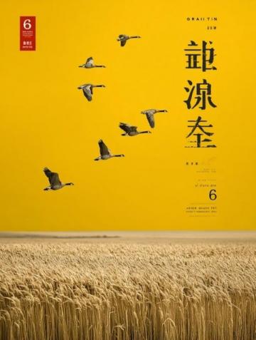 揭秘夏日熱土|潁州盛夏記:花鼓燈節(jié)、智能稻田與公益助學新篇章