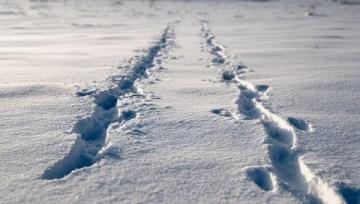 冬季雪天行車安全指南:全面準(zhǔn)備與駕駛技巧須知