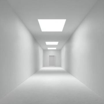 在家如何給兔子洗澡？冷水澡這樣做，兔兔舒服不抗拒！