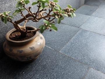 探索日照莒國古城：一份實用旅游指南