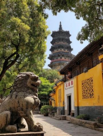 潮汕3天2夜深度游攻略:普寧市超值之旅