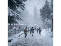 雪終于來了！河南鄭州出現大暴雪，河南局地積雪深度超20厘米,前些日子天氣預報說