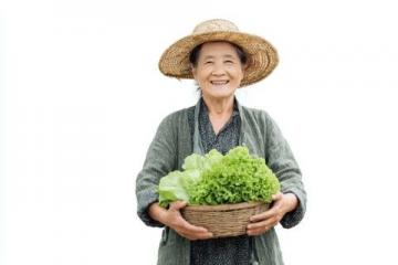 滕州本地人常去的八大菜市場推薦