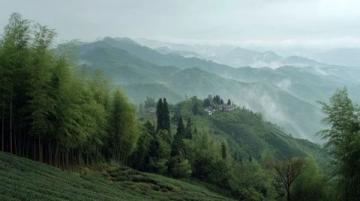 臨桂區(qū)黃沙瑤族鄉(xiāng)山珍美食(上有圖);