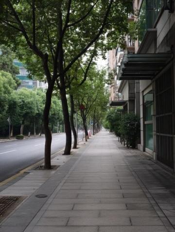 上海楊浦大學路:高校云集的學問之地