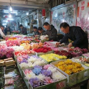 自貢國企新建農貿市場緩解南湖中區居民購物難題