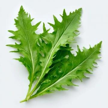 三伏天給孩子吃這四樣綠葉蔬菜，腸胃舒暢過夏天