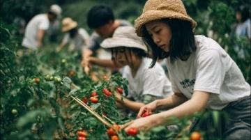 夏日限定:探尋汕頭傳統小吃——自制錄音豆花的風味之旅